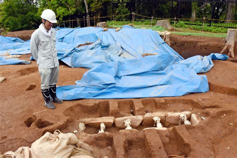 【写真・画像】「謎のエリア」で発見された石棺墓、5月3～6日に最後の公開 吉野ケ里遺跡 行政・社会 佐賀県のニュース 佐賀新聞