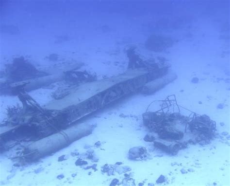 Local Snorkeling Sunken Airplane Picture Of Grand Park Royal Cozumel Cozumel Tripadvisor