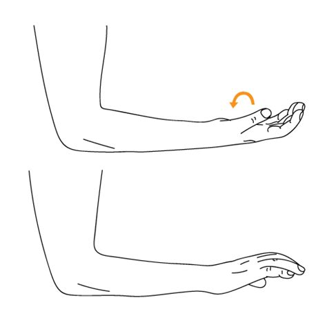 What is Radial Tunnel Syndrome - Life in a day of a Physical Therapist