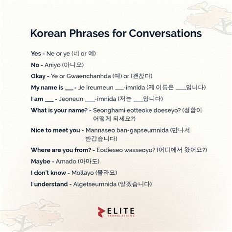 Basic Korean Phrases for Beginners