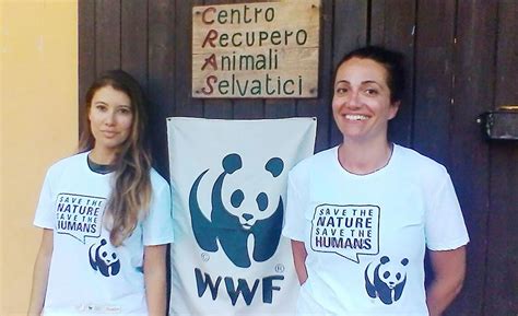 Nidi Distrutti E Rapaci Feriti Dai Temporali Appello Delloasi Wwf Di