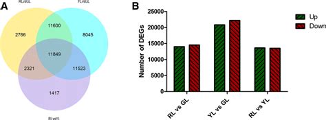 Statistics Of Differential Expression Genes DEGs A Venn Diagram Of