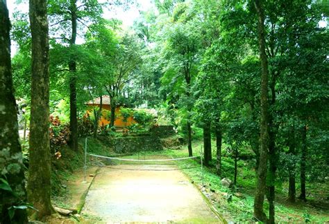 Blue Ginger Resort, Wayanad, kerala, Resort in Wayanad, Activities and ...