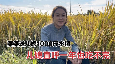 【大力与小贝】安徽儿媳喜欢吃米饭，山东婆婆竟送一千斤稻子，老公的话让人感动 Youtube