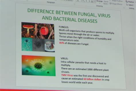 Pests and Diseases of Fuchsia and Geraniums by Ronald Kok – BC Fuchsia and Begonia Society