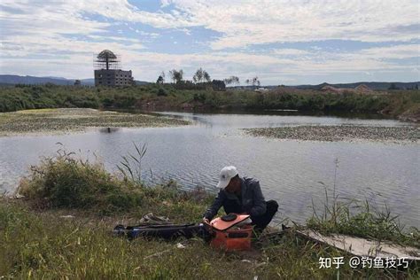 秋天野钓鲫鱼，找到鱼群最重要，秋天野钓鲫鱼选钓位的4个技巧 知乎