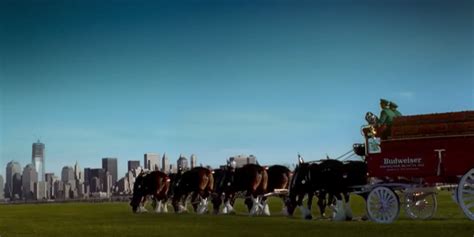 Monday Video from Tredstep Ireland: Budweiser Clydesdales 9/11 Tribute ...