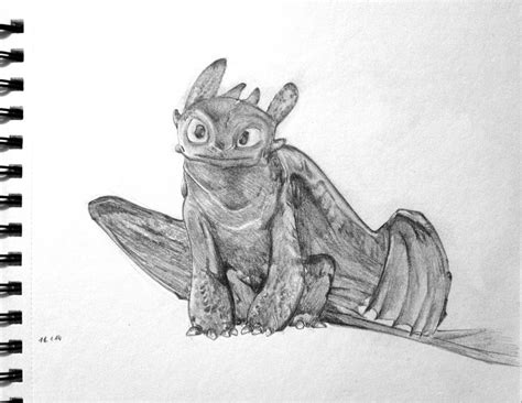 Toothless Sketch by Yangsl on DeviantArt