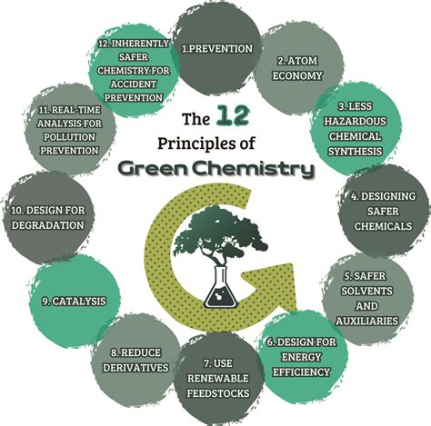 Representation Of The 12 Principles Of Green Chemistry Proposed By P