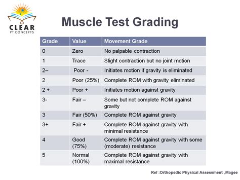 Manual Muscle Testing Clearptconcepts