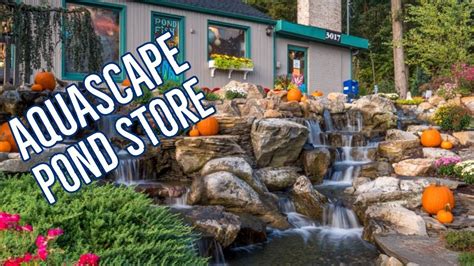 Outdoor Living Aquascape Pond Supply Store Behind The Scenes Youtube