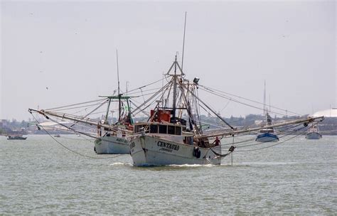 Inicia Este Viernes La Veda Temporal Para La Pesca De Todas Las