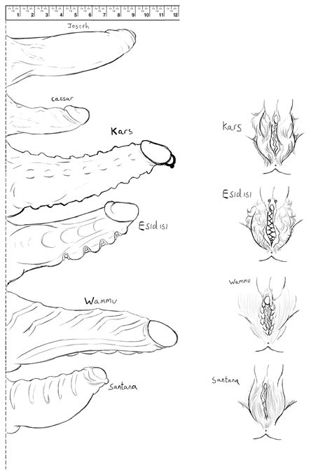 Rule 34 6boys Battle Tendency Caesar Zeppeli Chart Cloaca Comparison Esidisi Foreskin Jojos