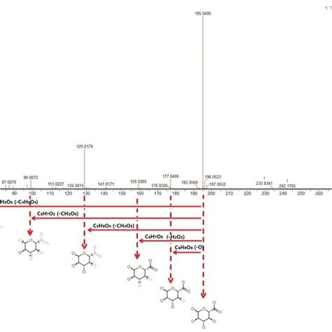 The Process Of D Glucuronic Acid As A Key Molecule To Bind Unconjugated