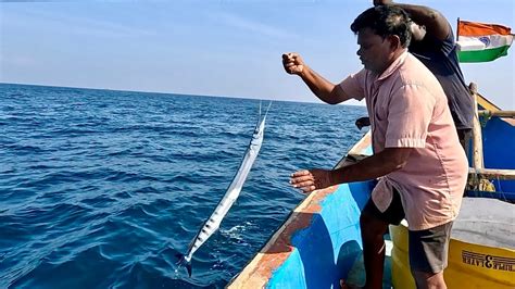 Catching King Mackerel Needle Fish In The Sea YouTube