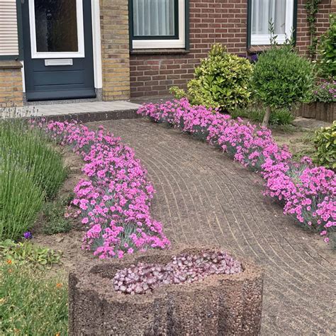 7 Quick Refreshes To Boost Your Home’s Curb Appeal – Home Swish