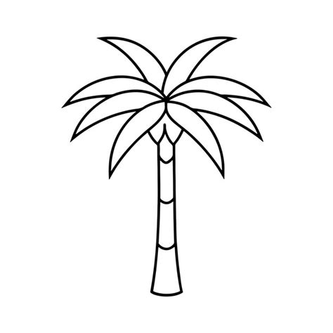 Palm Tree Outline Illustration Vectors And Illustrations For Free