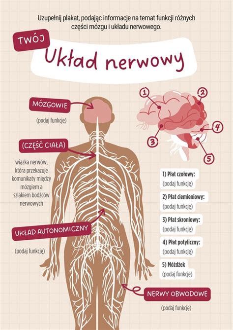 Biologia Szablony Do Wydruku I U Ytku Online Canva