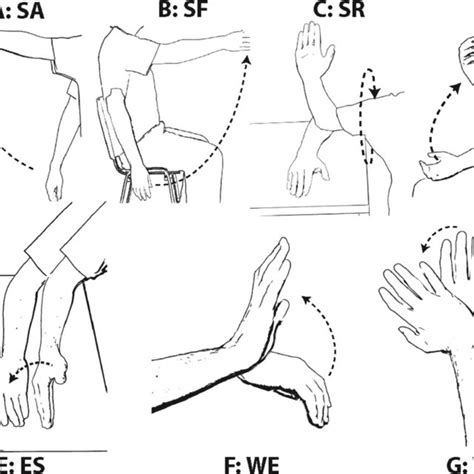 Representation of the seven upper limb analytic movements performed by ...