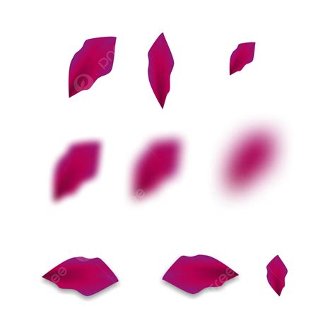 Purple Petals Vector Design Images Purple Petals Element Vector Set