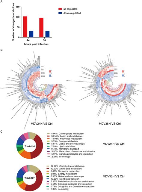 Frontiers Metabolomic Profiling Of Mareks Disease Virus Infection In