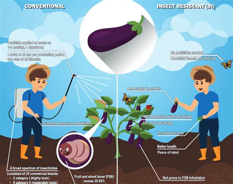 Infographic Philippines Could Boost Crop Yields 192 Cut Pesticide