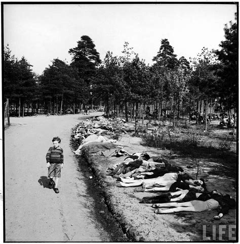 HistÓria Licenciatura Libertação De Bergen Belsen Concentration Camp