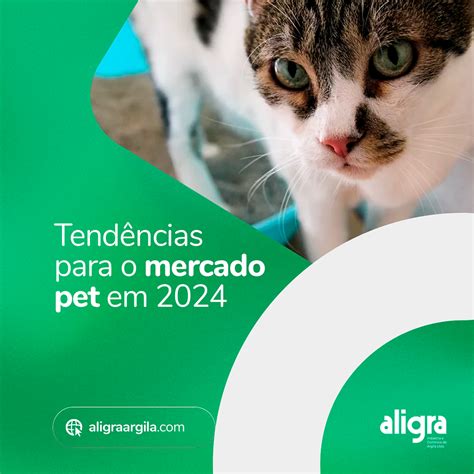 Tendências para o Mercado Pet em 2024 Cuidado Inovação e Sustentabilidade