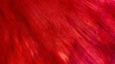 Red Fine Grain Background Free Stock Photo Public Domain Pictures