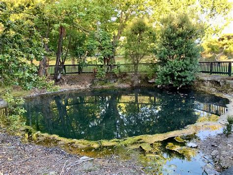 A Journey Through Kuirau Park in Rotorua | Mud Pools & Geothermal Lake