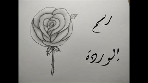 تعلم رسم الوردة Draw A Rose 🌹 Youtube