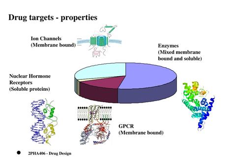 PPT Drug Targets Their Role In Drug Design Discovery PowerPoint