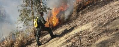 Blog Do Axel Grael Niter I Contra Queimadas Guarda Ambiental Acaba