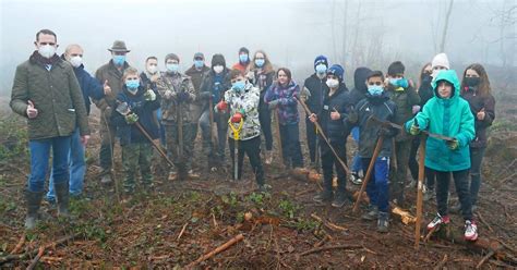 Schüler unterstützen Aufforstung von Bäumen im Wald von Mettlach