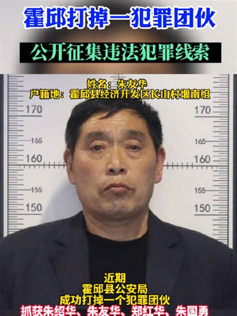 霍邱打掉一犯罪团伙，公开征集违法犯罪线索！霍邱犯罪团伙六安市新浪新闻