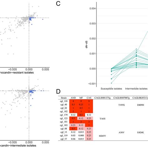 Echinocandin Susceptibility Of Candida Glabrata Clinical Isolates P