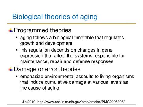 Ppt Theories Of Aging Powerpoint Presentation Free Download Id5480931