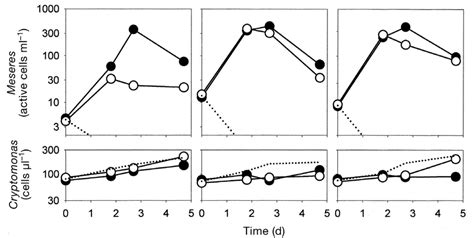 Meseres Corlissi Changes Of Cell Concentrations Vs Time In Triplicate