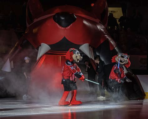 Mascot Performer 2023 24 Season Huntsville Havoc Teamwork Online