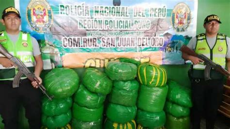 Puno Decomisan 170 kilos de hojas de coca Noticias Policía