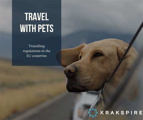 Travelling With Pets Within The EU The Necessary Documents Krakspire