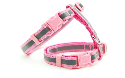 Cat Harness And Leash Set - Life Changing Products