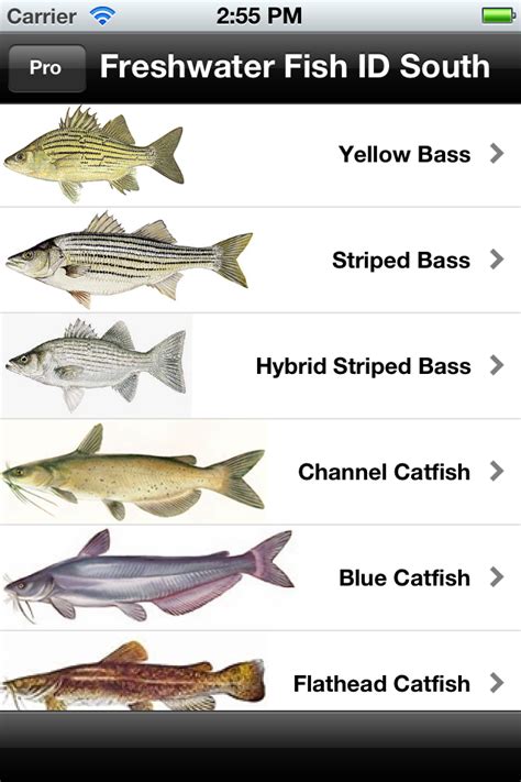 App Shopper Freshwater Fish Id South Lite Sports