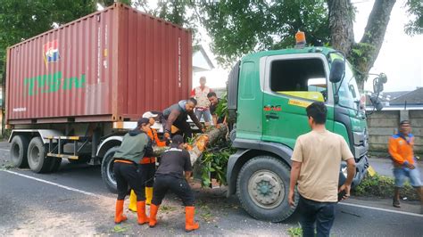 Pohon Tumbang Timpa Truk Kontainer Di Rajapolah Badan Penanggulangan