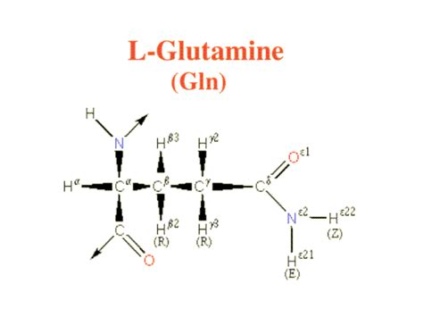 Glu Amino Acid Code