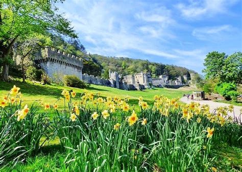 Gwrych Castle On Twitter Dydd Gŵyl Dewi Hapus Happy St Davids Day