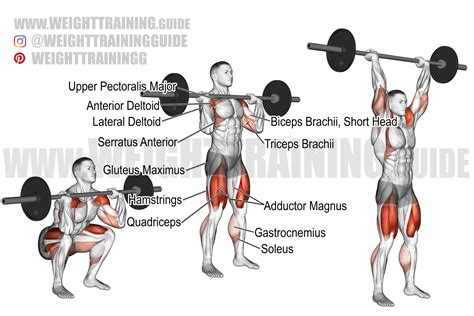 Barbell Front Squat To Overhead Press Exercise Instructions And Video Lower Body Exercises