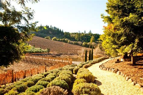 Best Healdsburg Wineries To Visit Go Travel California