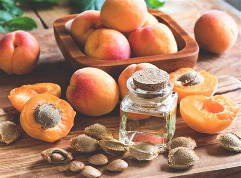 9 Best Apricot Seeds Benefits For Skin And Hair