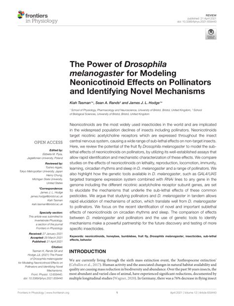 Pdf The Power Of Drosophila Melanogaster For Modeling Neonicotinoid